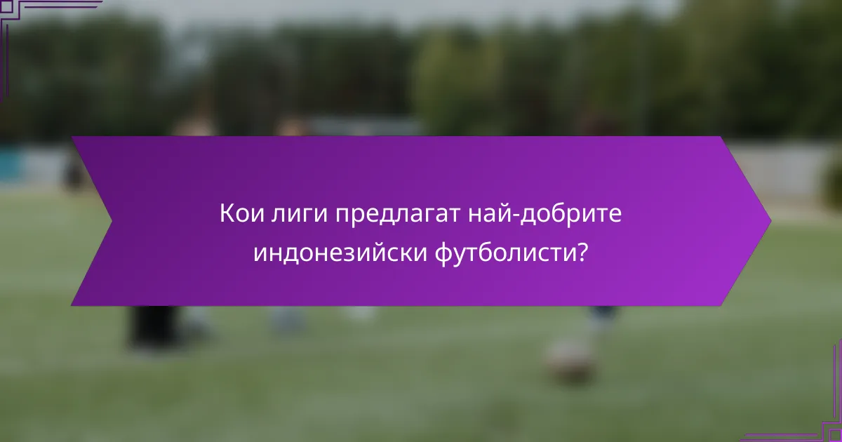 Кои лиги предлагат най-добрите индонезийски футболисти?