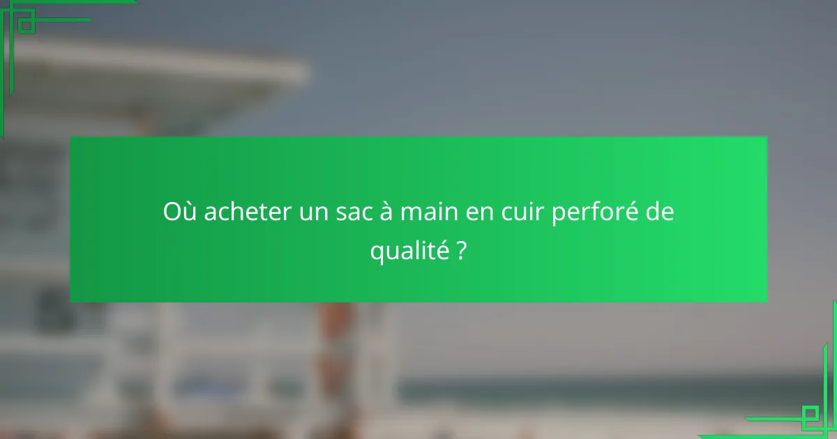 Où acheter un sac à main en cuir perforé de qualité ?