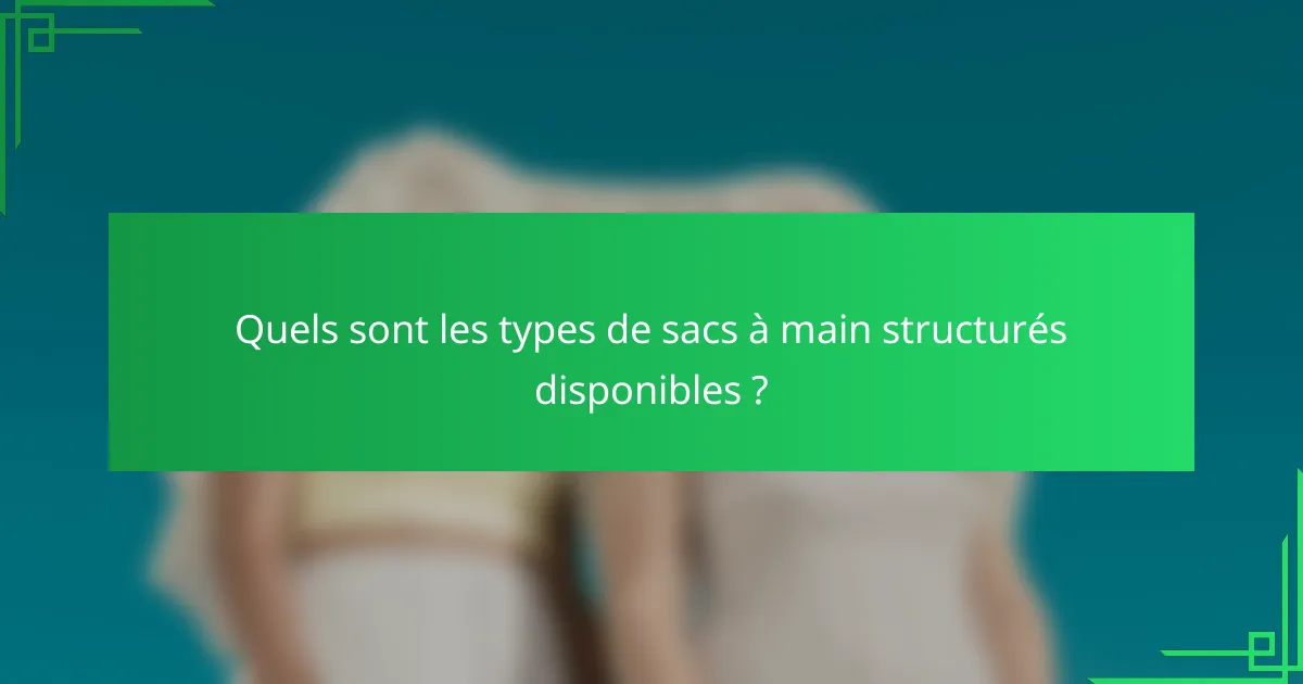 Quels sont les types de sacs à main structurés disponibles ?